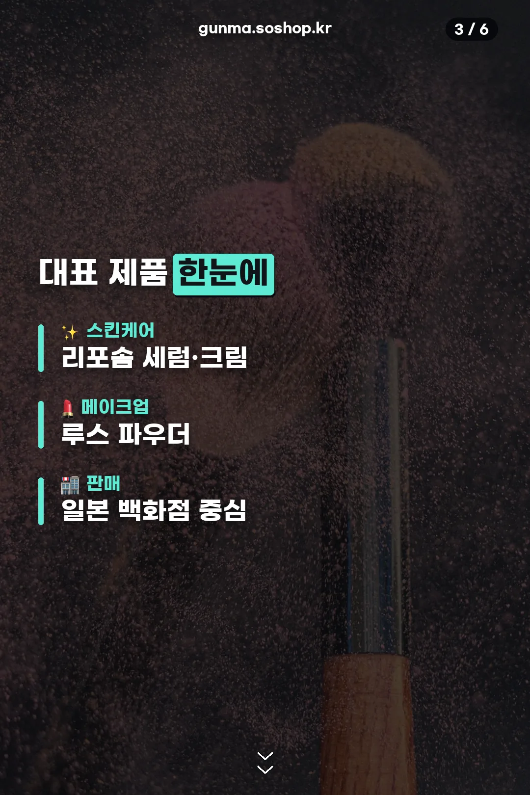 대표 제품 한눈에