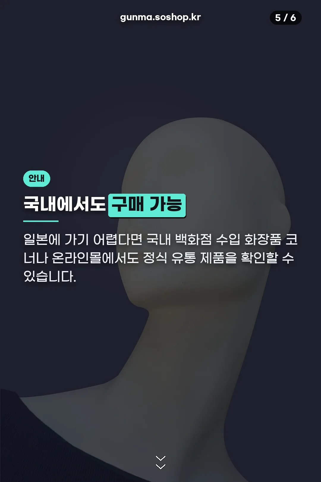 국내 구매 안내
