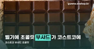 코스트코 부샤드 초콜릿 정리 썸네일