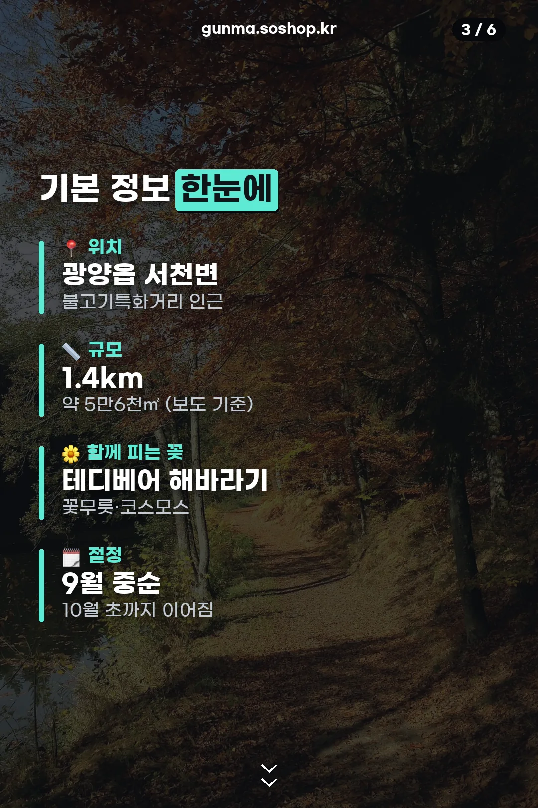 기본 정보 한눈에