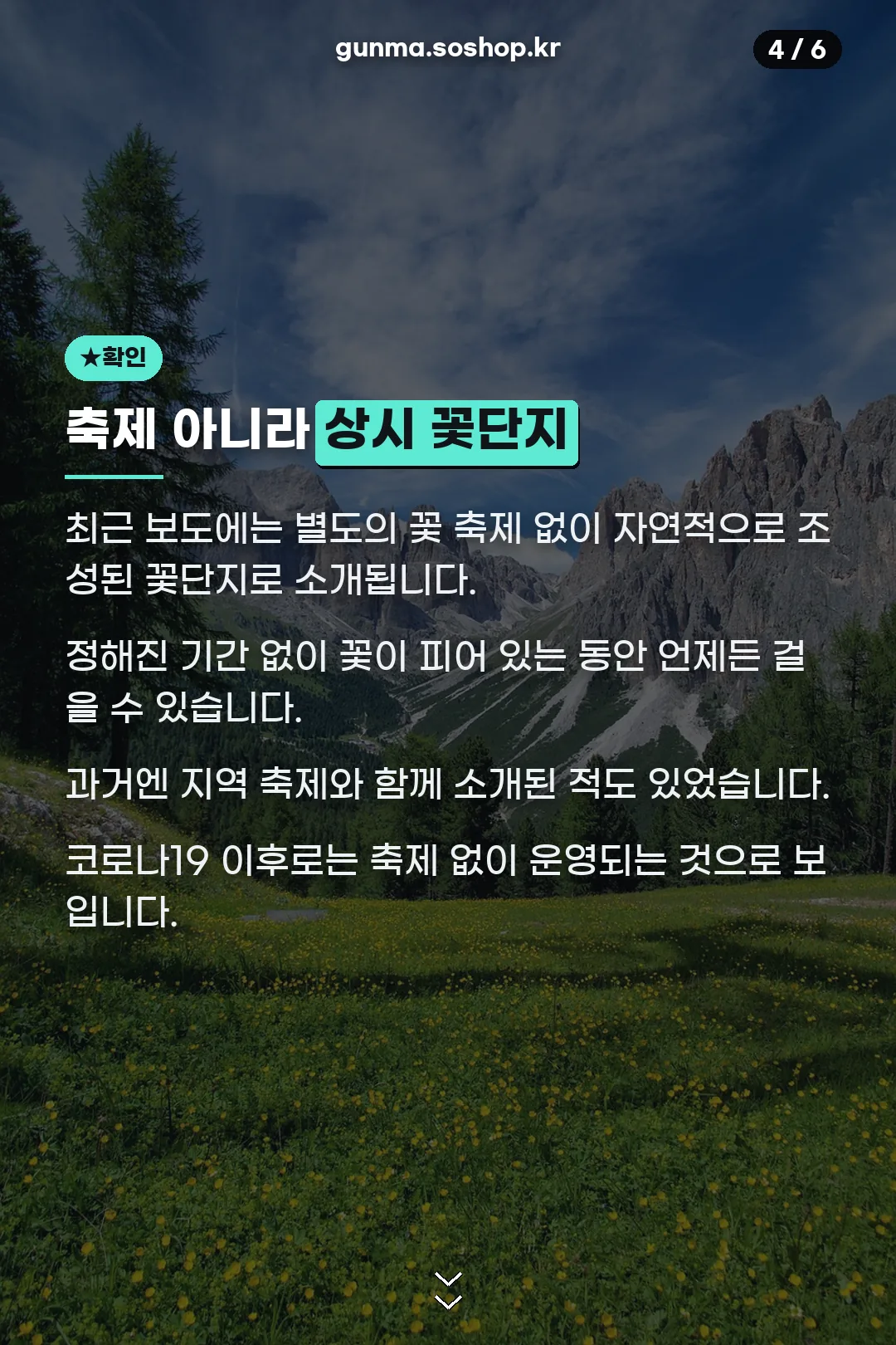 축제 아닌 상시 꽃단지