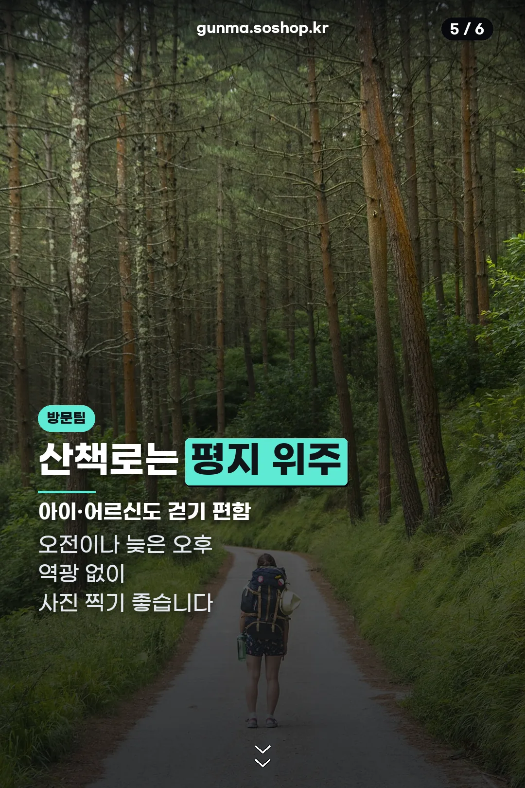 평지 산책로 방문팁