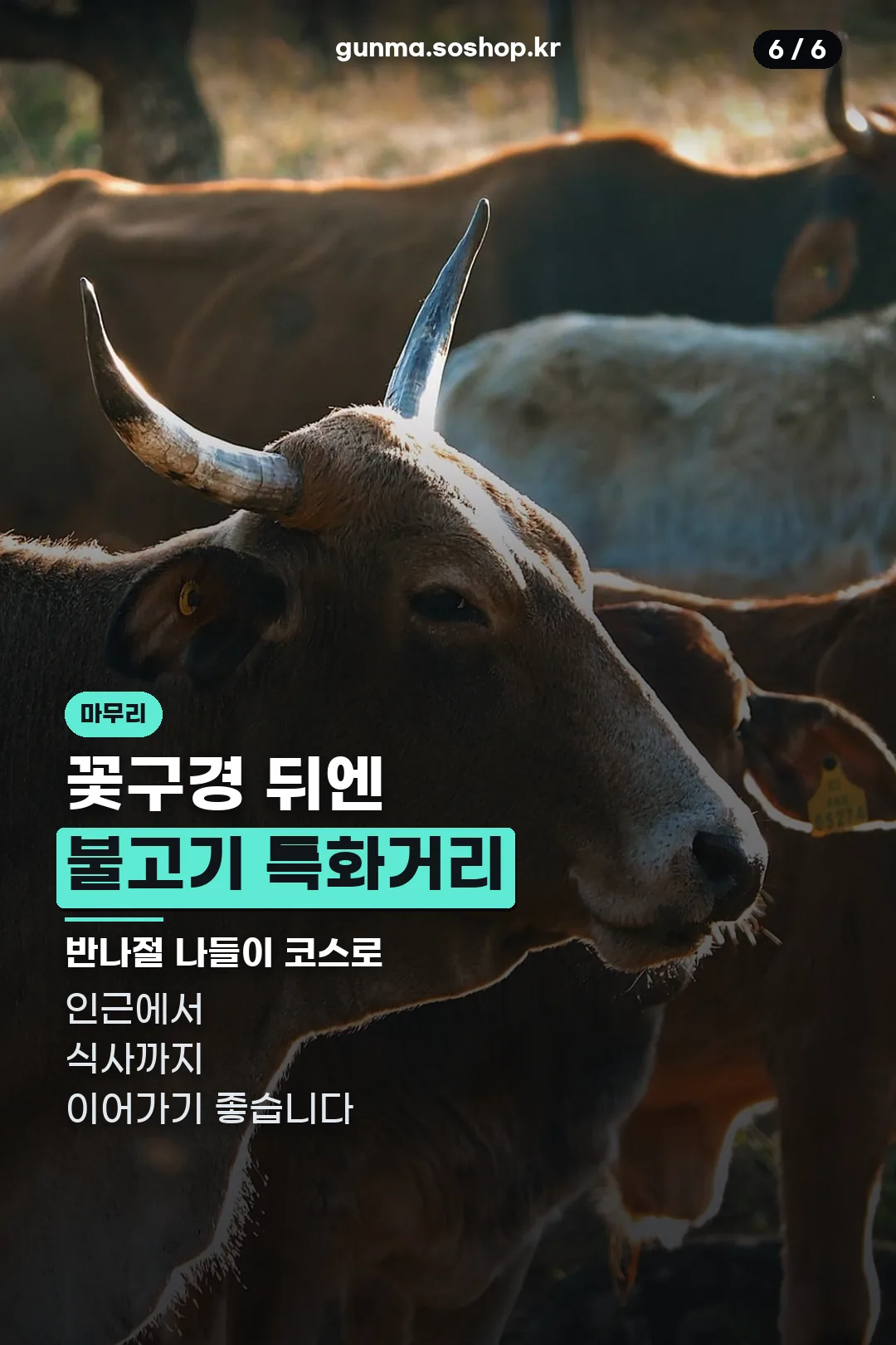 불고기거리 나들이 마무리