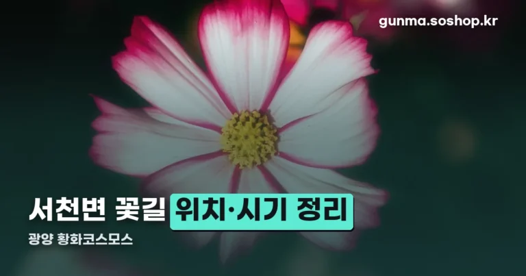 광양 황화코스모스 정리 썸네일