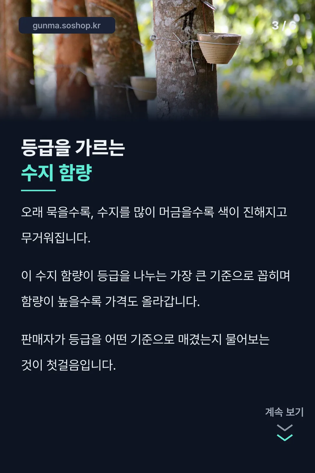 수지 함량 기준