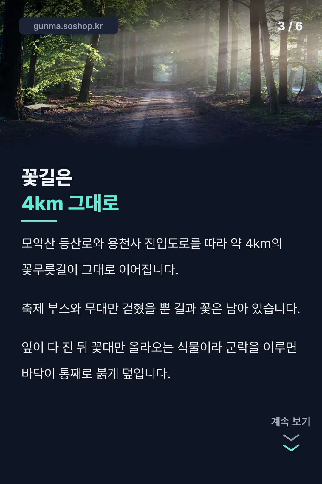 꽃무릇길 4km