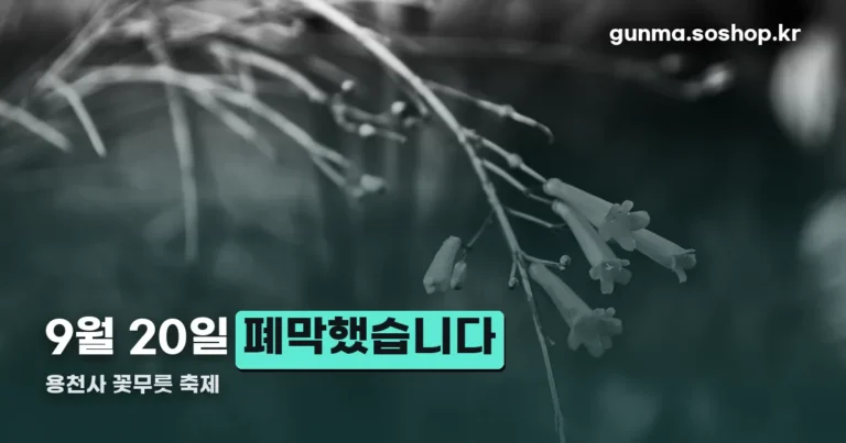 용천사 꽃무릇 축제 정리 썸네일