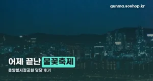 용양봉저정공원 불꽃축제 정리 썸네일