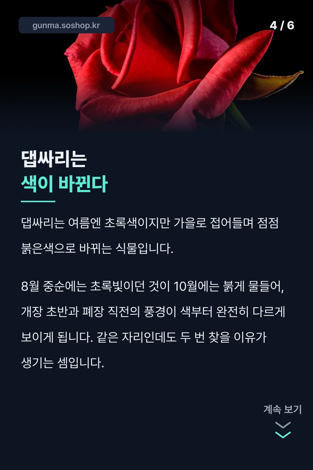 댑싸리 색이 바뀌는 이유