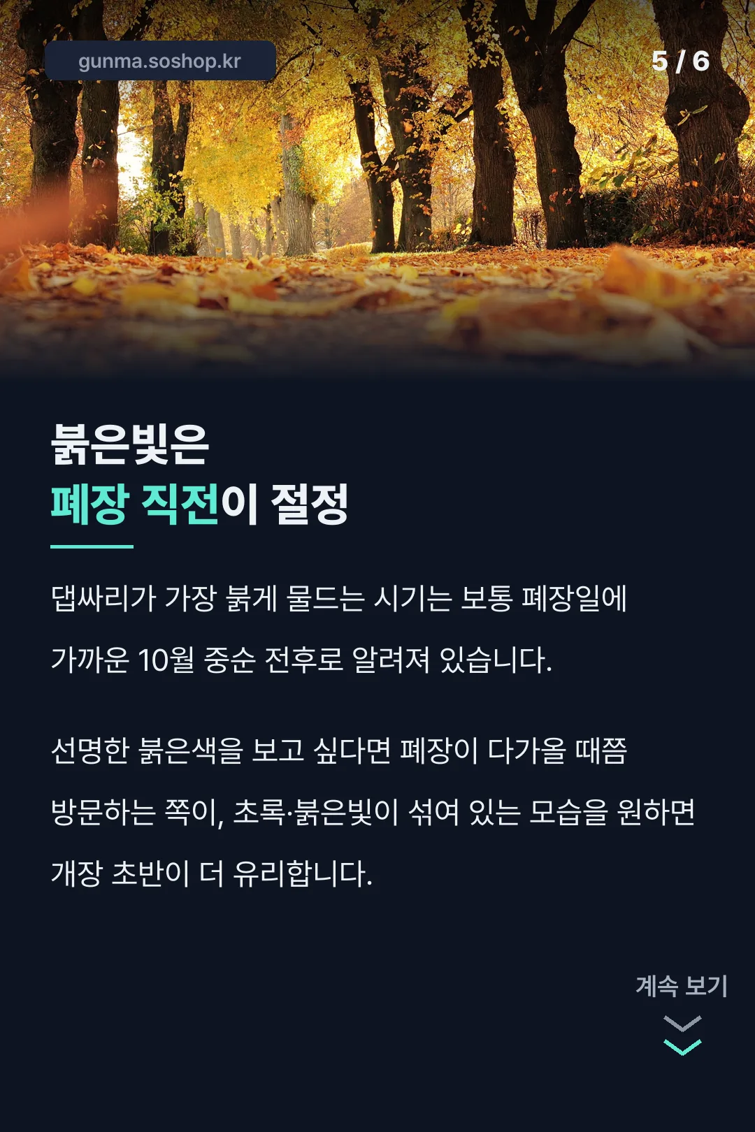 붉은빛 절정 시기