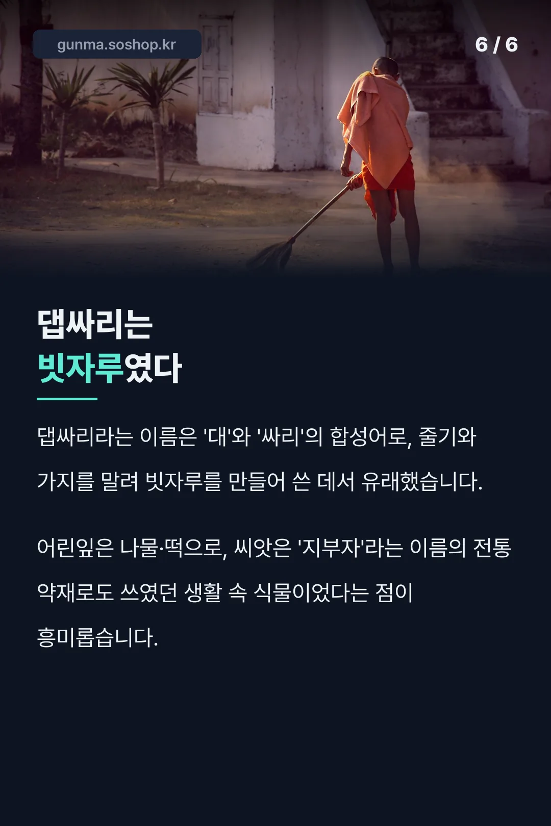 댑싸리는 빗자루였다