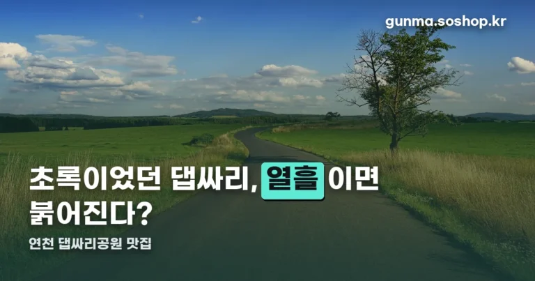 연천 댑싸리공원 맛집 정리 썸네일